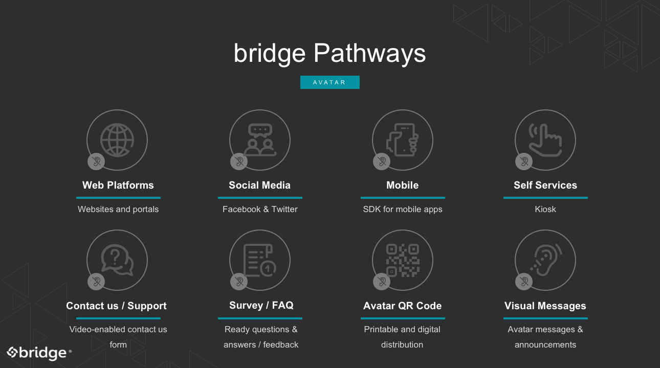 bridge-access
